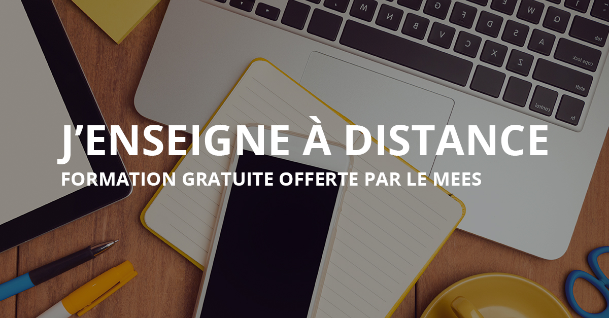 J Enseigne A Distance Universite Teluq Formation A Distance